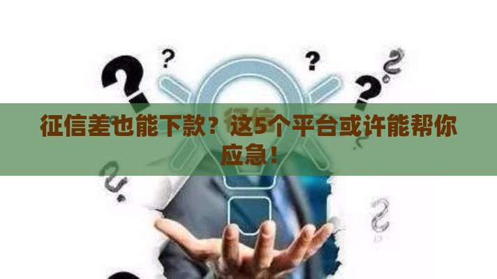 征信差也能下款？这5个平台或许能帮你应急！