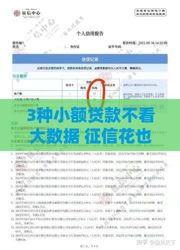 3种小额贷款不看大数据 征信花也能过