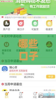 哪些口子下款快额度高，这几个方法帮你快速到账