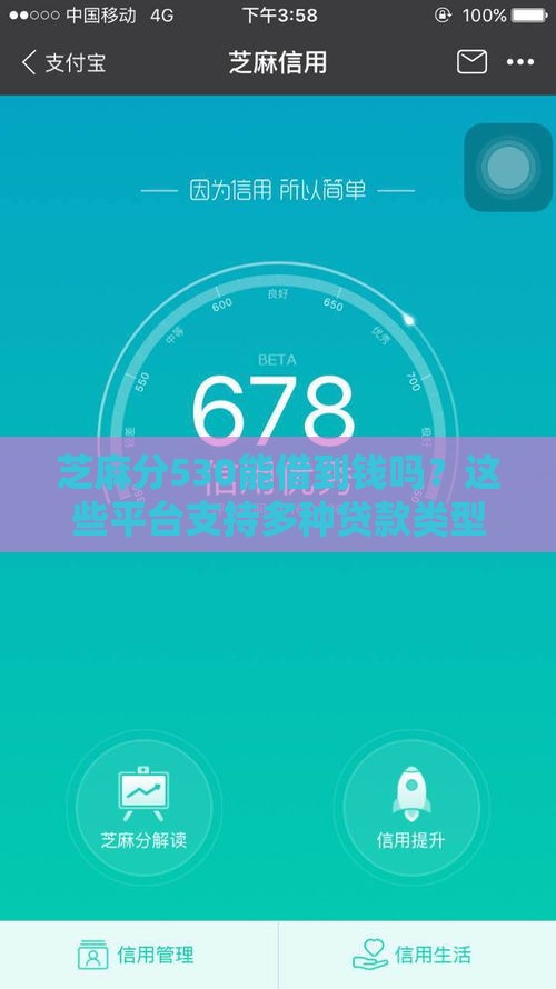芝麻分530能借到钱吗？这些平台支持多种贷款类型
