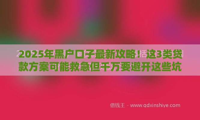 2025年黑户口子最新攻略！这3类贷款方案可能救急但千万要避开这些坑