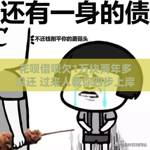 花呗借呗欠1万块两年多没还 过来人教你四步上岸
