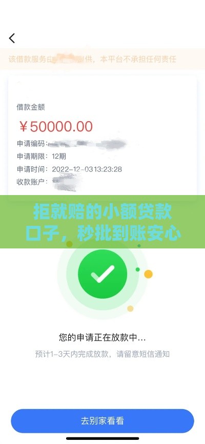 拒就赔的小额贷款口子，秒批到账安心借