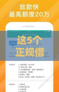 这5个正规借款平台审核快、下款稳