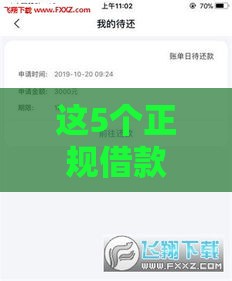 这5个正规借款平台审核快、下款稳