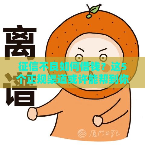 征信不良如何借钱？这5个正规渠道或许能帮到你