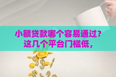 小额贷款哪个容易通过？这几个平台门槛低，
