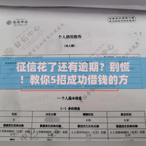 征信花了还有逾期？别慌！教你5招成功借钱的方法