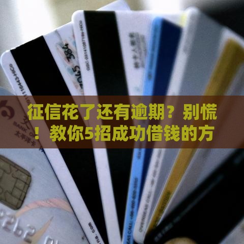 征信花了还有逾期？别慌！教你5招成功借钱的方法