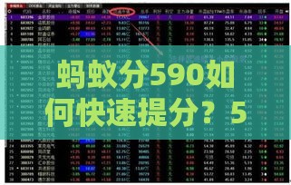 蚂蚁分590如何快速提分？5个实用技巧助你征信涨分