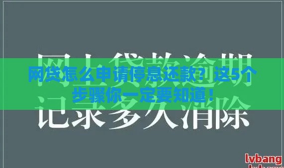 网贷怎么申请停息还款？这5个步骤你一定要知道！