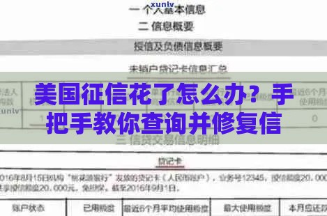 美国征信花了怎么办？手把手教你查询并修复信用记录