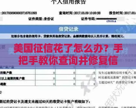 美国征信花了怎么办？手把手教你查询并修复信用记录