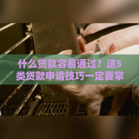 什么贷款容易通过？这5类贷款申请技巧一定要掌握！