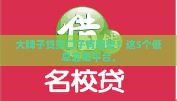 大牌子贷款口子有哪些？这5个低息靠谱平台，