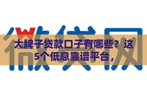 大牌子贷款口子有哪些？这5个低息靠谱平台，