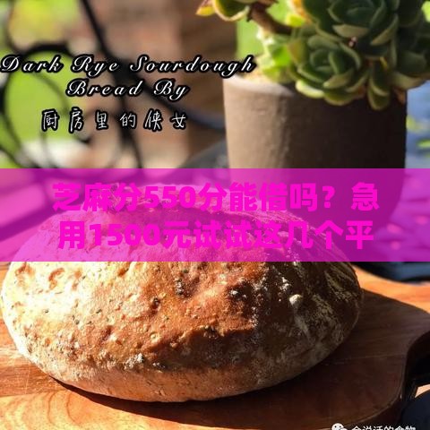 芝麻分550分能借吗？急用1500元试试这几个平台！