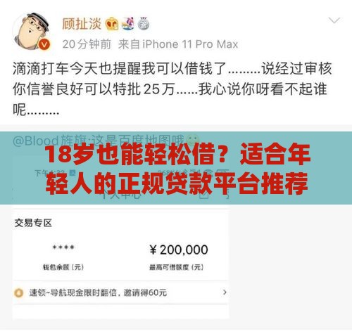 18岁也能轻松借？适合年轻人的正规贷款平台推荐