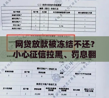 网贷放款被冻结不还？小心征信拉黑、罚息翻倍！