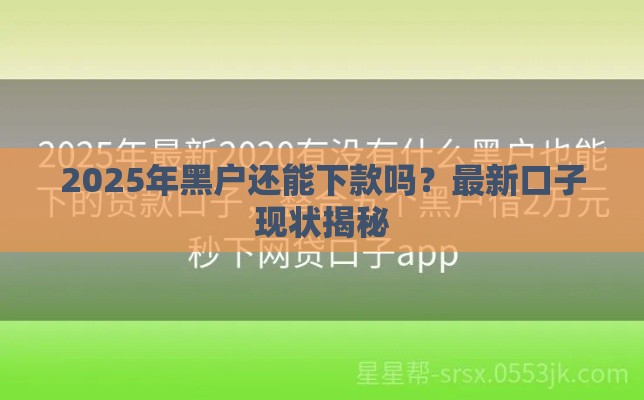2025年黑户还能下款吗？最新口子现状揭秘