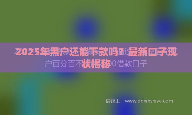 2025年黑户还能下款吗？最新口子现状揭秘