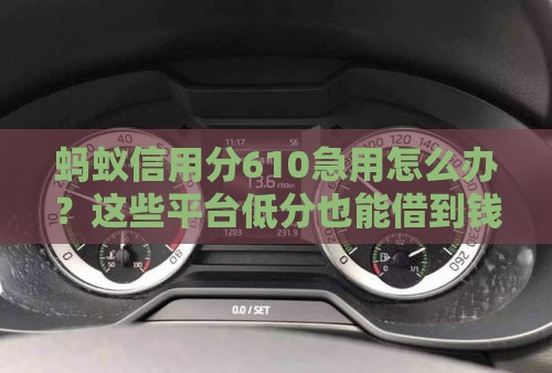 蚂蚁信用分610急用怎么办？这些平台低分也能借到钱！