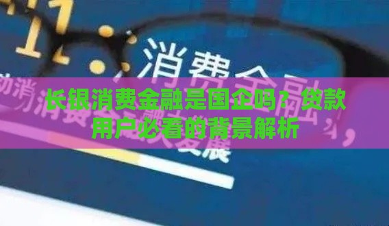 长银消费金融是国企吗？贷款用户必看的背景解析