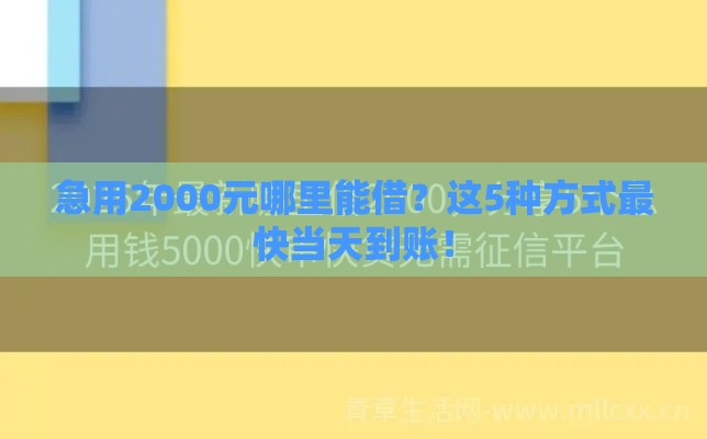 急用2000元哪里能借？这5种方式最快当天到账！