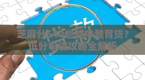 芝麻分540也能申教育贷？低分申请攻略全解析