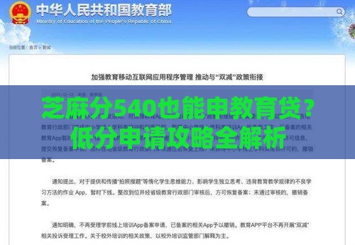 芝麻分540也能申教育贷？低分申请攻略全解析
