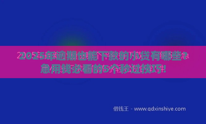2025年逾期也能下款的小贷有哪些？急用钱必看的5个秒过技巧！