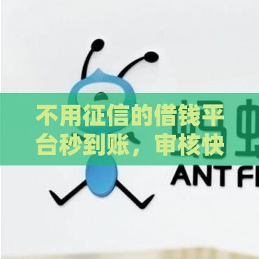 不用征信的借钱平台秒到账，审核快门槛低