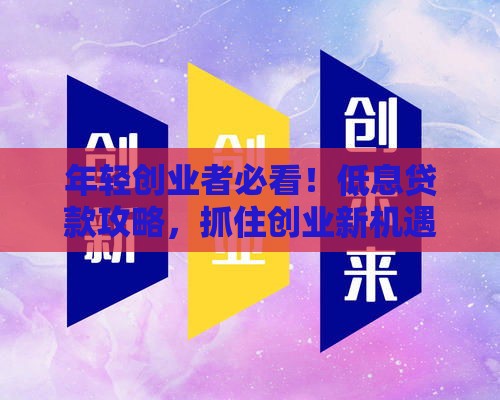 年轻创业者必看！低息贷款攻略，抓住创业新机遇