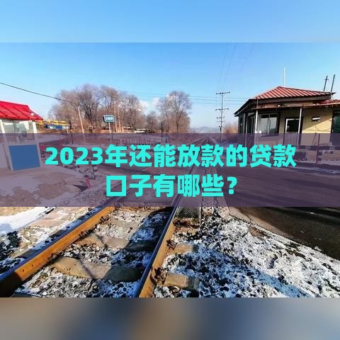 2023年还能放款的贷款口子有哪些？