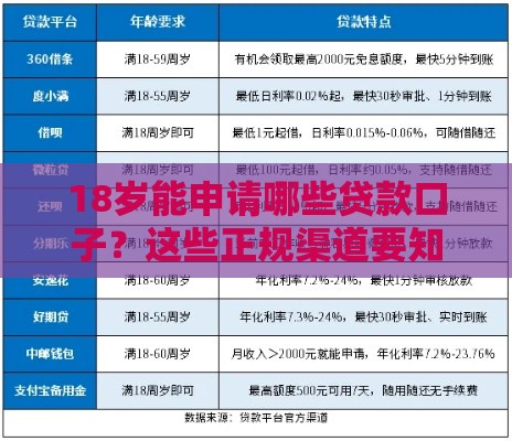 18岁能申请哪些贷款口子？这些正规渠道要知道！