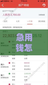 急用钱怎么办？8000元免电话审核快速到账，这些方法你知道吗？
