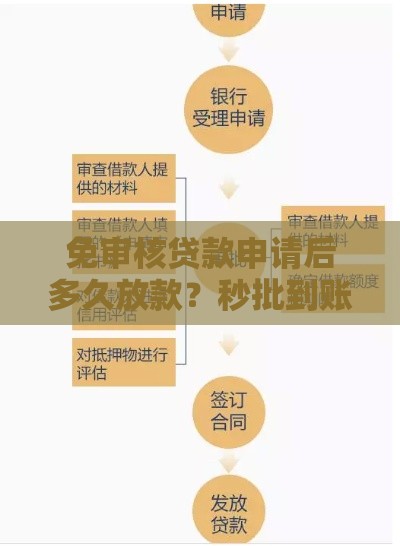 免审核贷款申请后多久放款？秒批到账避坑必看