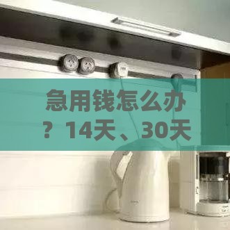 急用钱怎么办？14天、30天短期应急借款全攻略（附避坑技巧）