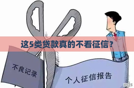 这5类贷款真的不看征信？