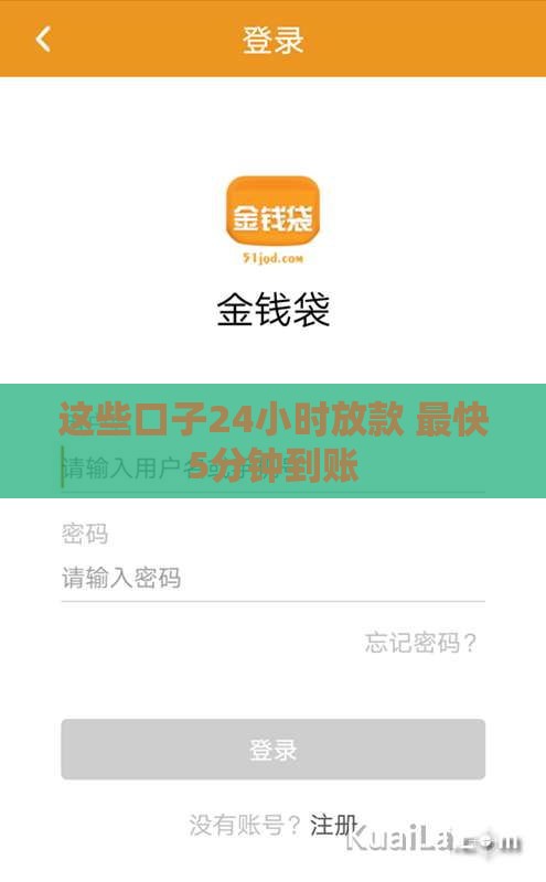 这些口子24小时放款 最快5分钟到账