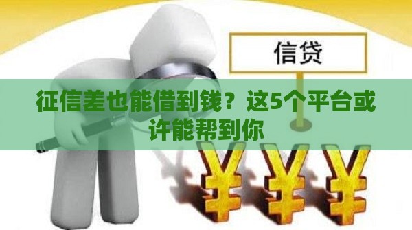 征信差也能借到钱？这5个平台或许能帮到你