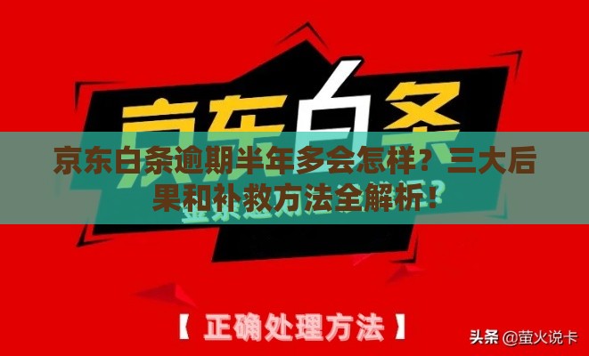 京东白条逾期半年多会怎样？三大后果和补救方法全解析！