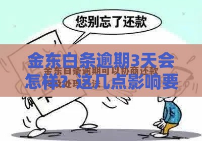 金东白条逾期3天会怎样？这几点影响要当心！