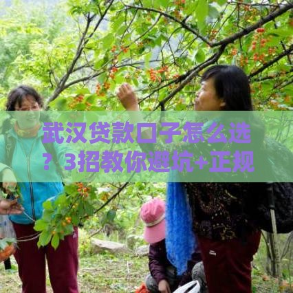 武汉贷款口子怎么选？3招教你避坑+正规渠道推荐！