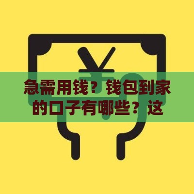 急需用钱？钱包到家的口子有哪些？这5个快速到账的靠谱渠道别错过！