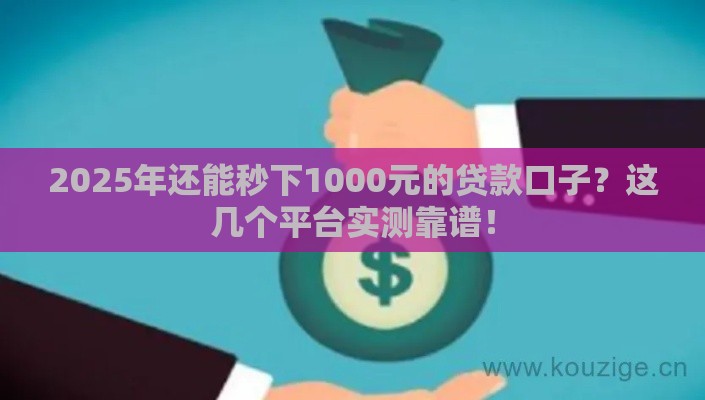 2025年还能秒下1000元的贷款口子？这几个平台实测靠谱！
