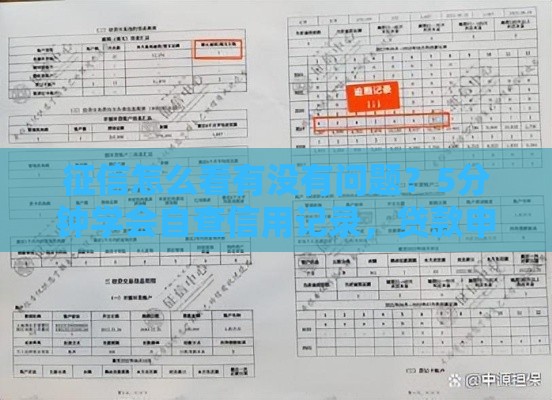 征信怎么看有没有问题？5分钟学会自查信用记录，贷款申请不被拒！