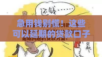 急用钱别慌！这些可以延期的贷款口子，灵活还款更安心