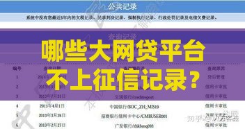 哪些大网贷平台不上征信记录？这些选择你知道吗？
