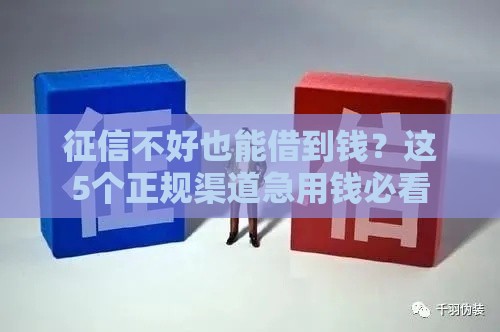 征信不好也能借到钱？这5个正规渠道急用钱必看